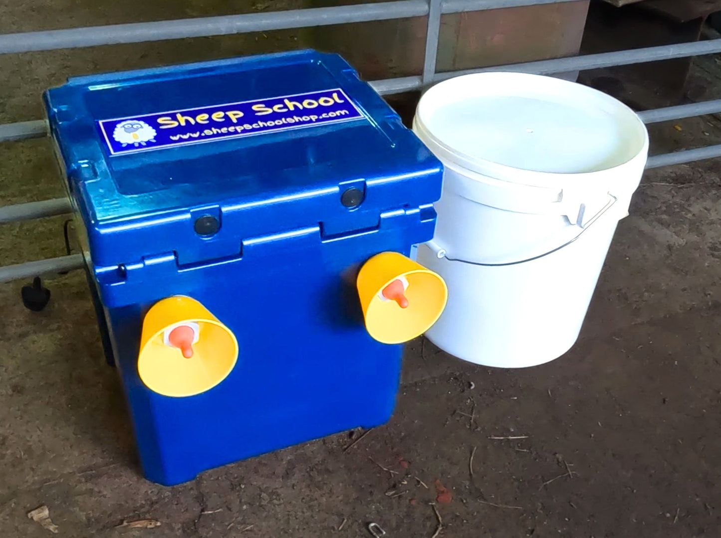 Ad-Lib Lamb Feeder – Time-Saving