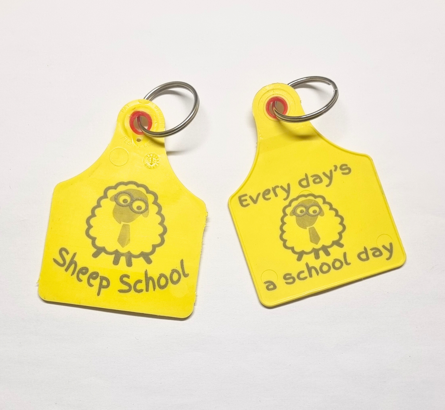 Sheep School Keyring Tag