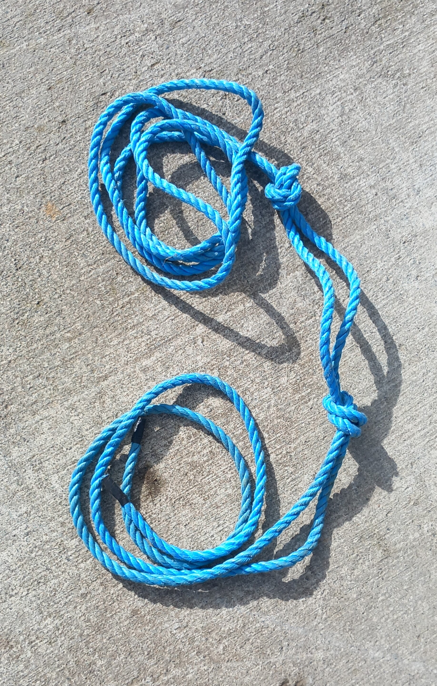 Prolapse Rope - Ready to Fit – Sheep School